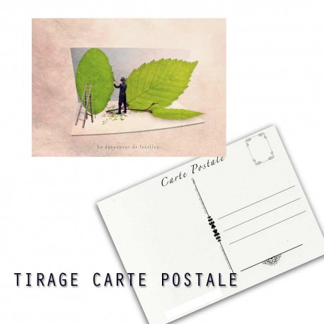 Carte postale humoristique arbre, les tout petits métiers