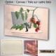 The tomato blusher, Fine Art color print