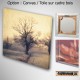 My Tree, My roots N°1, Fine Art color print landscape