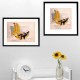 The banana curve tester - Fine Art photography - Original Art photography - Tiny Trades series