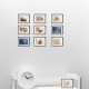 photo oiseau, carte anniversaire, cartes postales, Carte postale humoristiquecarte postale de fruit, cartes postales