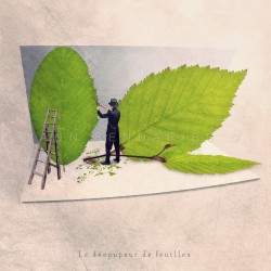 Le découpeur de feuilles - Photographie d'art - Photographie d'art couleur - Les Tout Petits Métiers