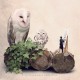 The owl optician - Fine Art photography - Original Art photography - Tiny Trades series