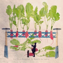 Le blanchisseur de bouts de radis - Photographie d'art - Les Tout Petits Métiers
