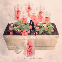 The strawberry-candy picker - Fine Art photography - Original Art photography - Tiny Trades series