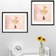 The cotton-candy catcher - Fine Art photography - Original Art photography - Tiny Trades series