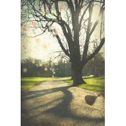 photo de Londres, Le parc, photographie artistique