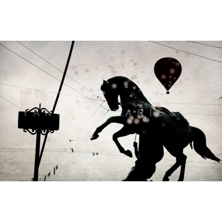 photo de St Petersbourg, Le cheval, photographie artistique