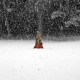 photo de Blizzard, Blizzard, photographie artistique de paysage