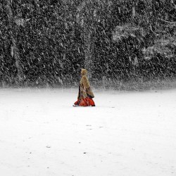 Blizzard - Photographie d'art - Photographie de paysage couleur