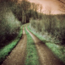 Le chemin des dames, Fine Art color print landscape