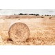 After the harvest, Fine Art color print landscape