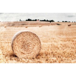 After the harvest, Fine Art color print landscape