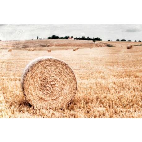 photo de meule de foin, photographie artistique de paysage