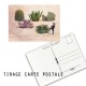 Carte postale humoristique cactus