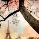 Sunset Eiffel Tower, Fine Art Paris print