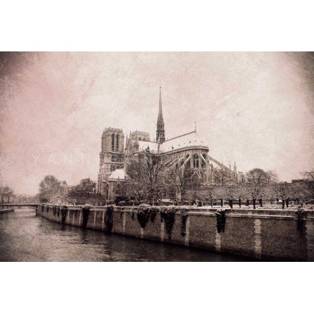 Notre dame de Paris, Fine Art black-white photography print 