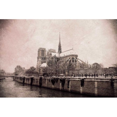 photo de Notre dame de Paris, photographie artistique noir et blanc