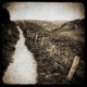 photo en noir et blanc normandie, Le chemin, photographie artistique noir et blanc