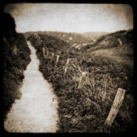 The Path, Fine Art black-white photography print 