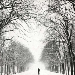 photo de paris en noir et blanc, Le gardien, photographie artistique noir et blanc