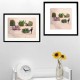 The cactus epilator, Fine Art color print