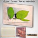 The leave cutter, Fine Art color print